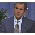 bushflip.gif